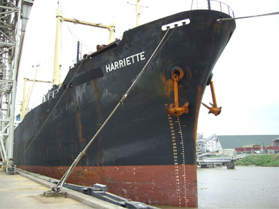 M/V Harriette bow profile