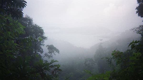 Rain forest, Costa Rica